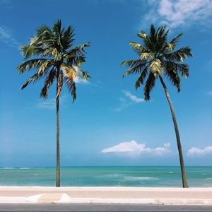 Meet your Posher, Shhd